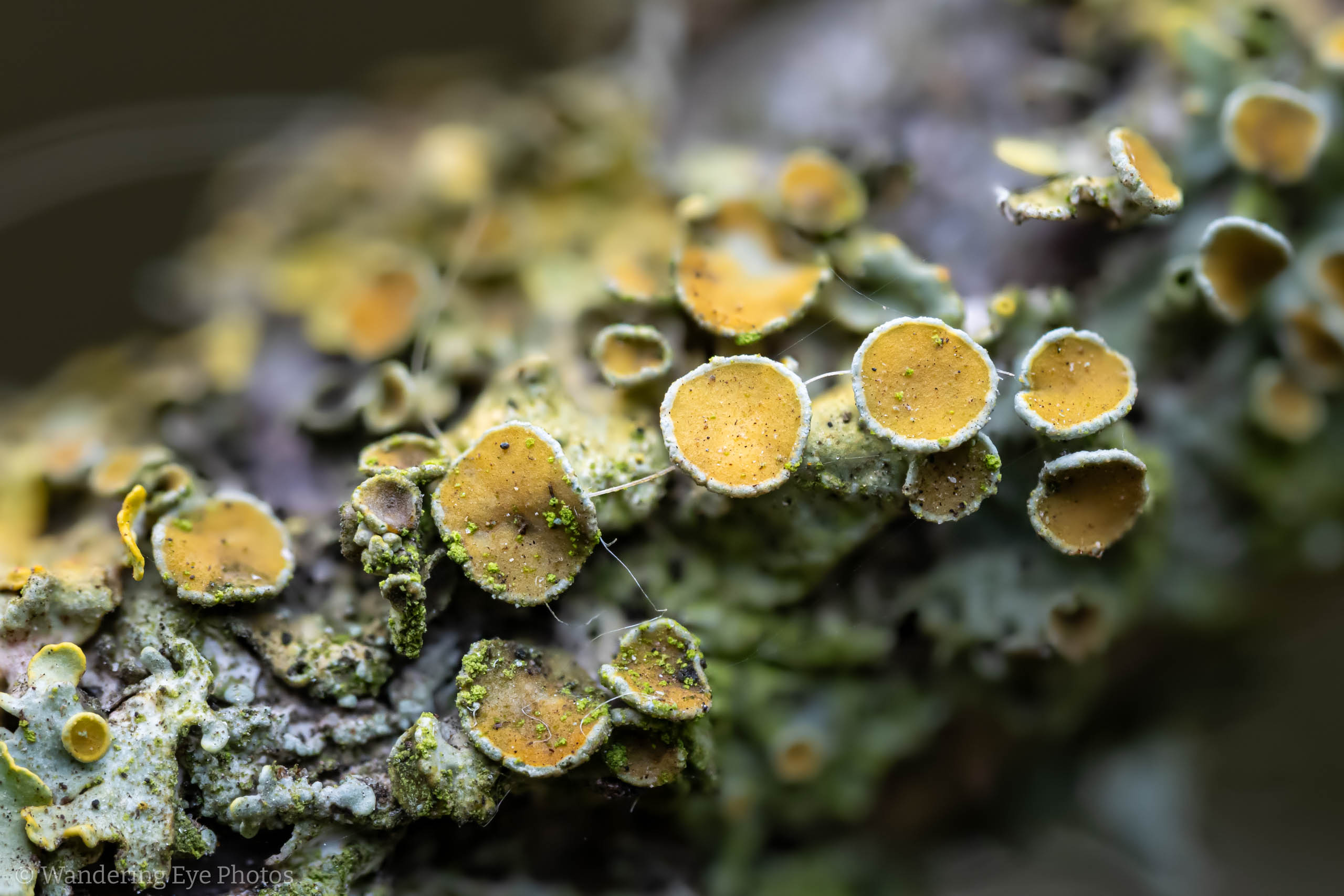 2025 11 09 21 30 21 (A,R8,S4)